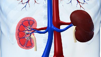 怎么治疗慢性肾炎综合症 4个慢性肾炎综合症治疗的方法