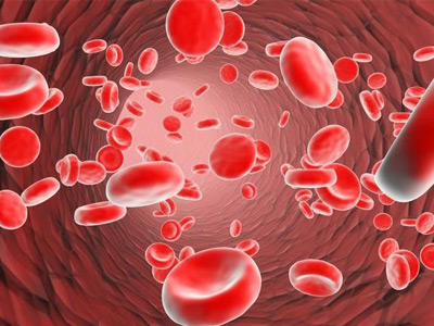 血小板是人体血液中很小的一个血细胞,它的主要作用就是止血和凝血,是