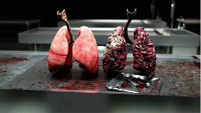 想早期发现肺癌做什么检查？预防肺癌吃这些蔬果好
