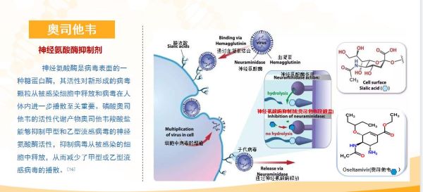 什么症状需服用奥司他韦？