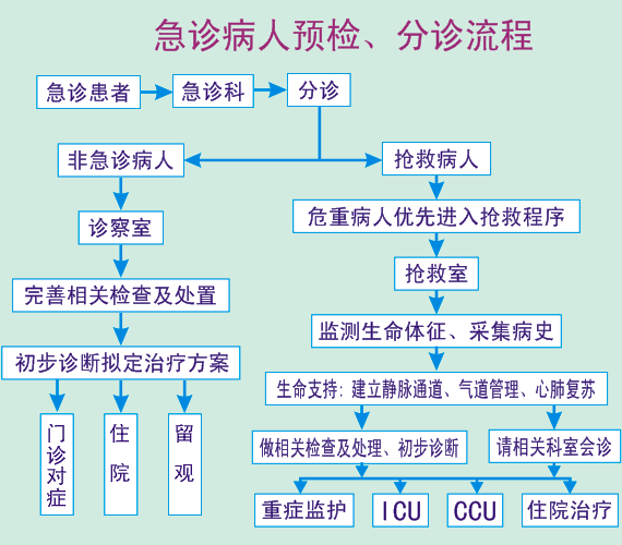 急诊病人预检,分诊流程