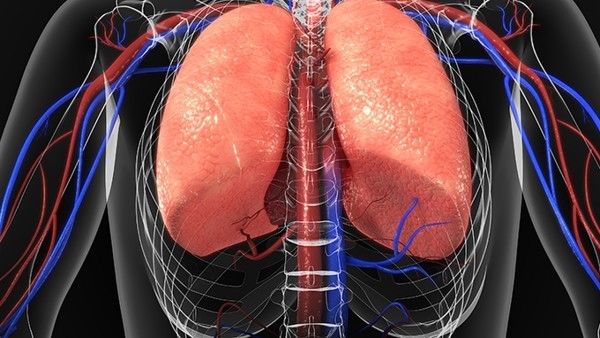 支气管肺炎中药可以治疗吗  肺部感染可以吃急支糖浆吗