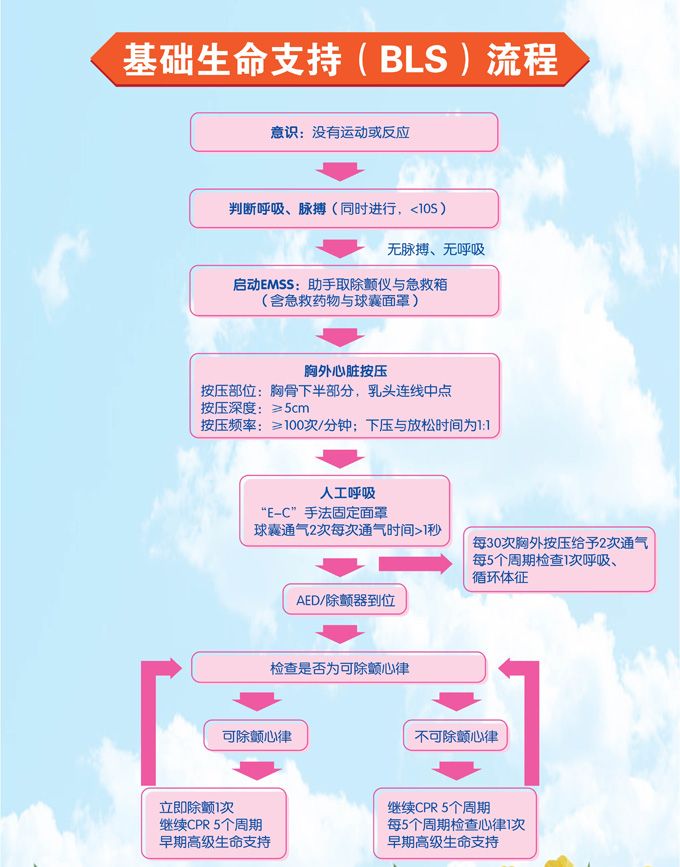 基础生命支持(BLS)流程-复禾医院库