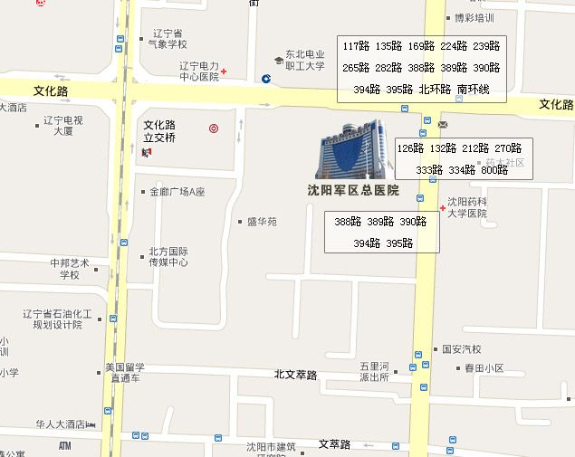 沈阳800路公交车线路图图片