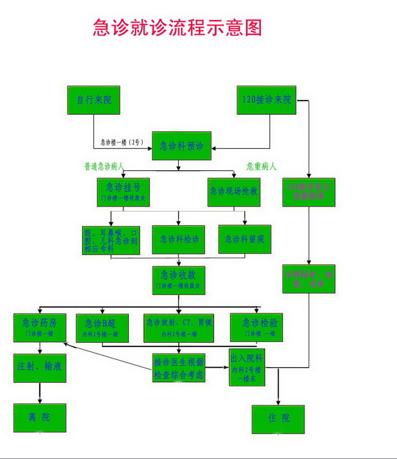 急诊就诊流程图
