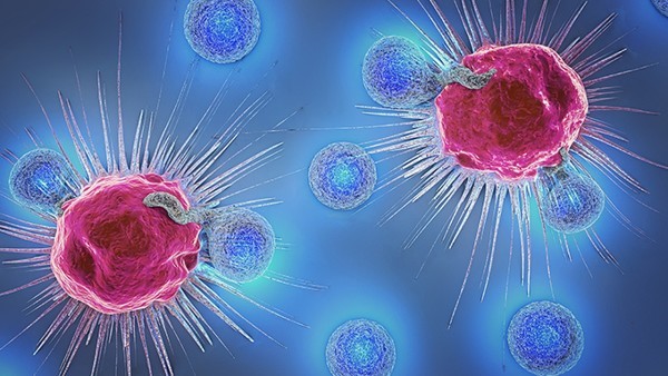 抗菌消炎胶囊的功效是什么 抗菌消炎胶囊是抗病毒的药吗