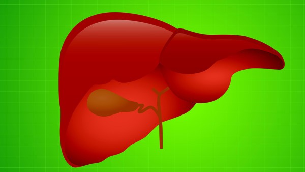 六味能消胶囊可以治疗脂肪肝吗 六味能消胶囊是治疗什么疾病的