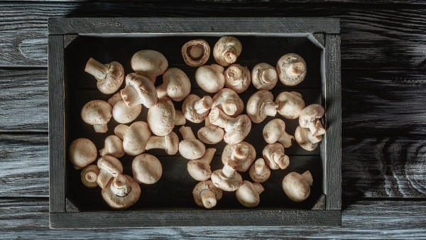 香菇多糖片治什么病 香菇菌多糖片作用和功效有哪些