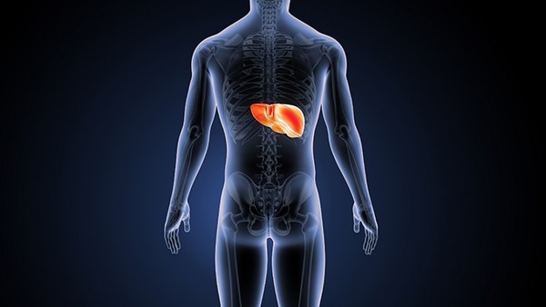 硫辛酸片对肝肾有影响吗 硫辛酸片的副作用是什么