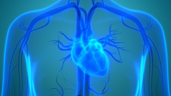 心可舒丸适宜人群 增强心脏功能的中成药