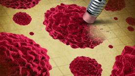 癌症新药Nirogacestat获FDA优先审评资格，可治硬纤维瘤