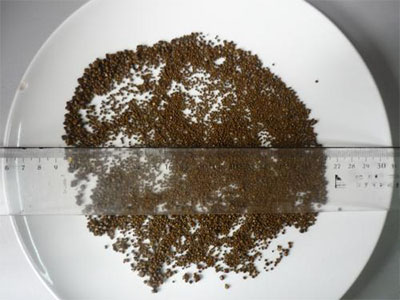 泥沙样胆囊结石好治吗