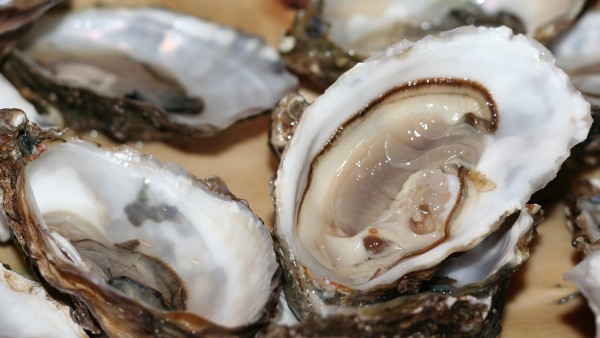 牡蛎碳酸钙片能否空腹服用  牡蛎碳酸钙片的正确的服用方法