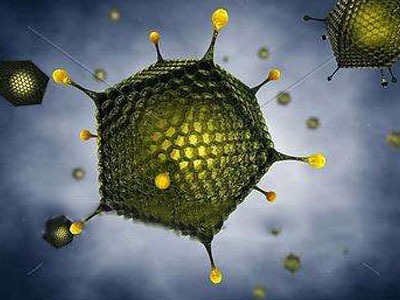 研究:疱疹病毒在太空中可以在宇航员体内重新激活