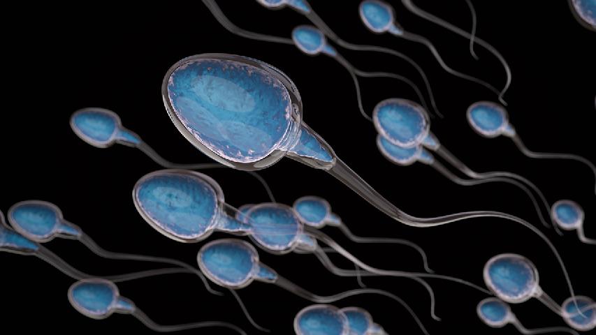 精子畸形能否怀孕？