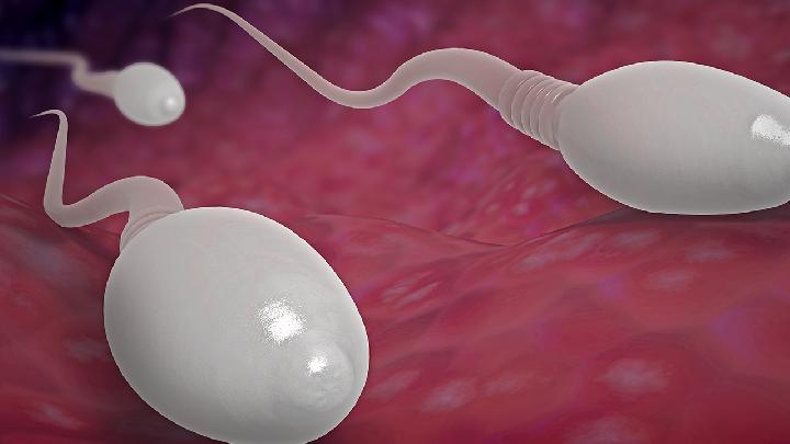精子畸形能否怀孕？