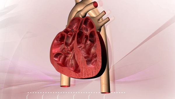 心绞痛用心复康胶囊好吗  心复康胶囊的适应症是什么