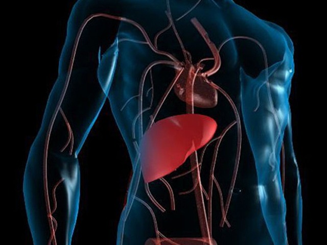 肝移植国际培训项目启动