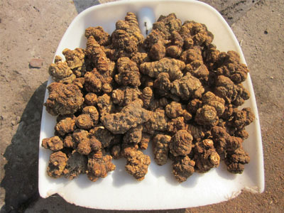 告诉你川芎的功效与作用