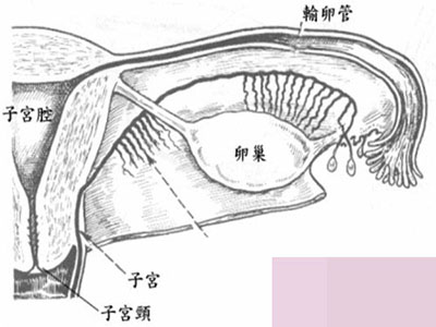 ooYBAFy9aeiAO-AcAAC9xncsuB0591.jpg
