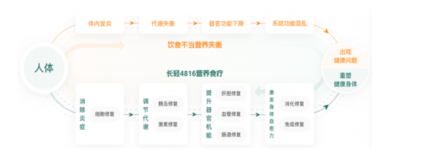 长轻营养食疗推出创新健康管理系统:4816营养食疗体系