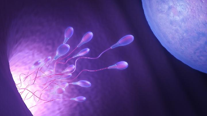 男性不育的睾丸异常是否引起无精症