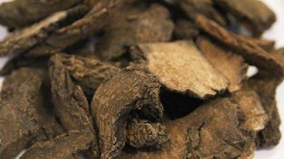 肉苁蓉能治疗早泄吗？肉苁蓉怎么吃可以治疗早些？