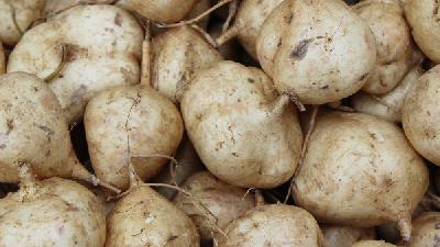 大量喝茶易引起贫血 多吃这些补气血食物