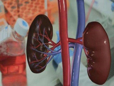 肾三级是什么 ooYBAF0oRr-AUUukAACcRsg9cyw736.jpg