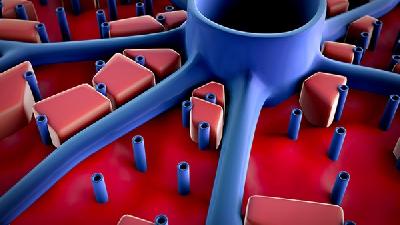 支原体感染的原因您知道吗?