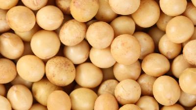 生活中哪些食物容易导致蛀牙？