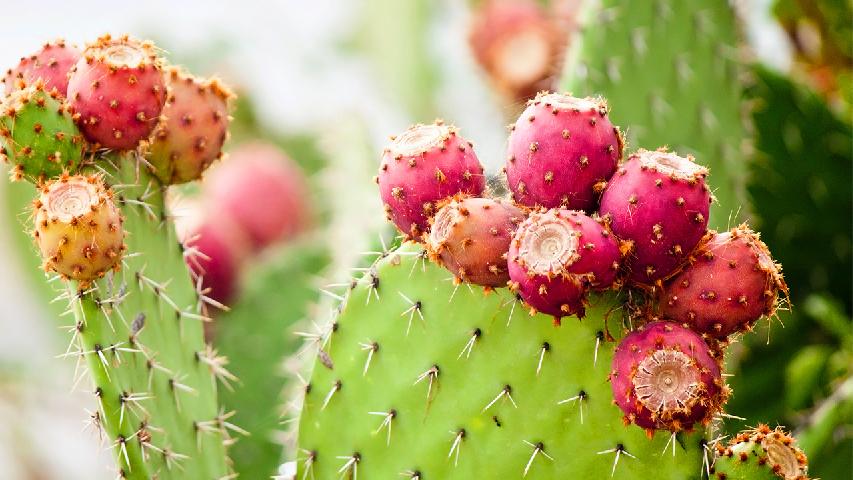 预防便秘的饮食是什么？便秘后应该吃什么？