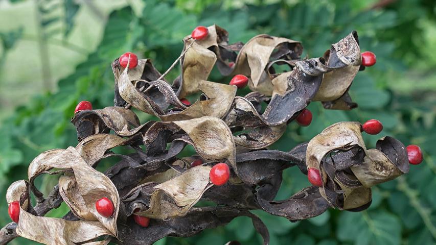 月经时间长怎样调理 超详实的调理方法拿去