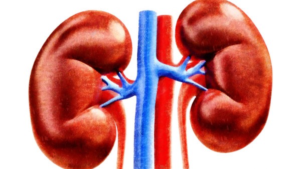 肾结石隔三差五的有血尿怎么回事，怎么办