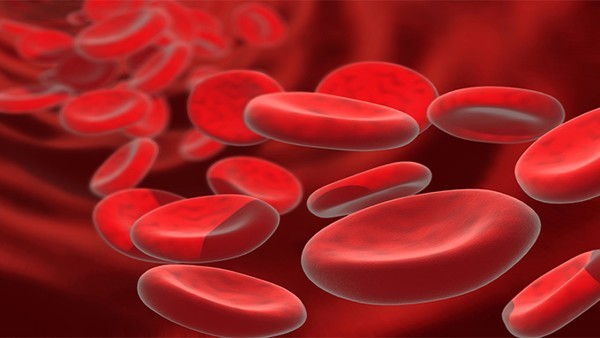 真性红细胞增多症属于慢性病吗