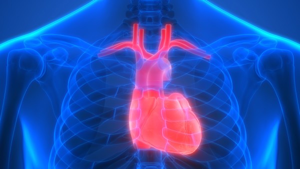 心脏栓子脱落的三大原因是什么