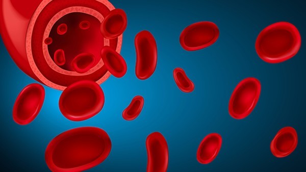 血小板数、血红细胞数升高怎么回事，怎么办