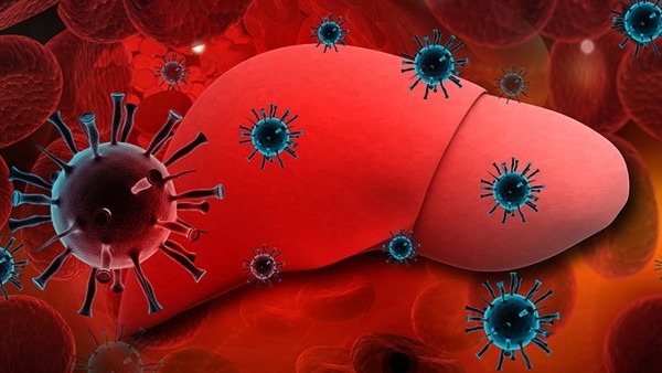 反应肝细胞受损最灵敏的指标是什么