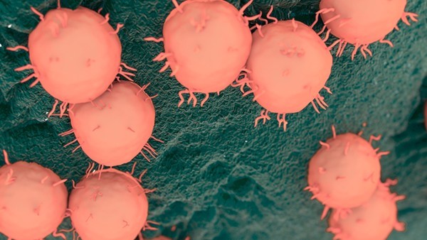 男性细菌感染是什么引起的