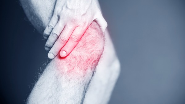 艾草叶对治疗膝关节疼有效吗