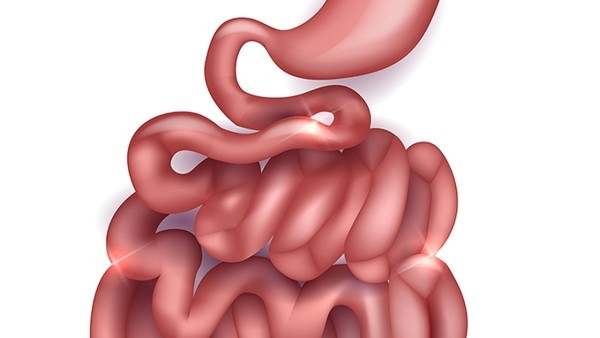 致病性大肠埃希菌肠毒素的致病机理是什么