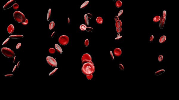 正常人献血后，红细胞多长时间可以恢复到原来的水平