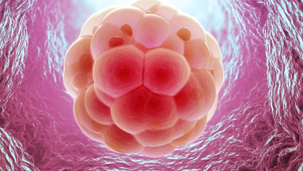 睾丸生殖细胞瘤怎么回事，怎么办