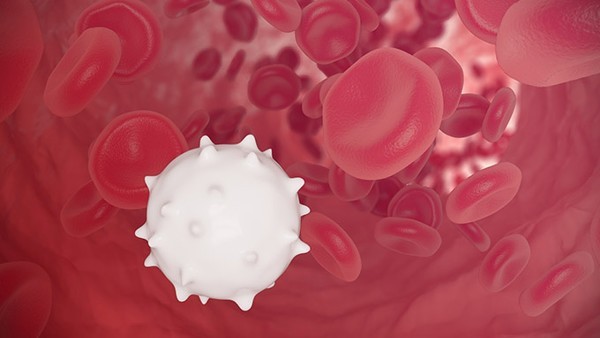 巨球蛋白血症是哪类Ig异常增高