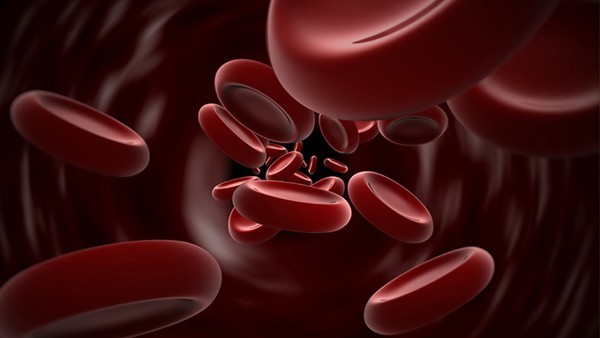 镰刀状红细胞性贫血症是什么突变