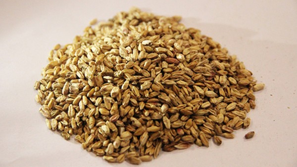 小麦和浮小麦的药用区别是什么
