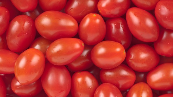 西红柿和海苔可以一起吃吗