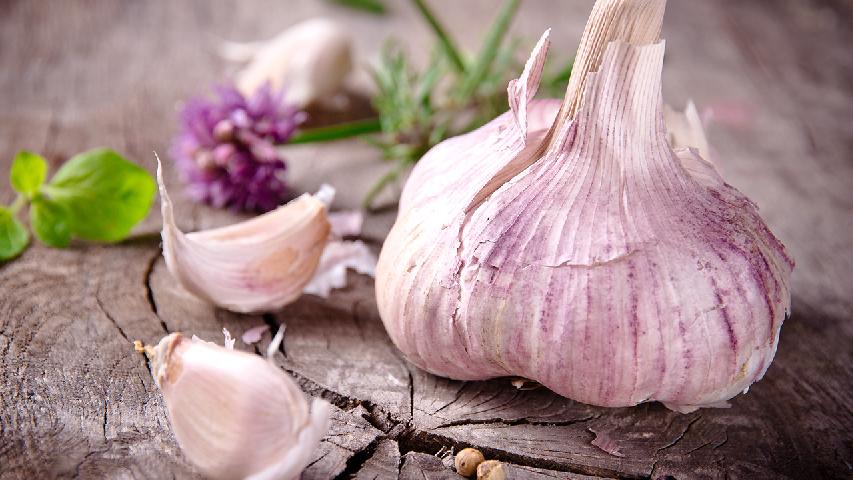 现代人的养生重点是什么？应从这4个方面着手