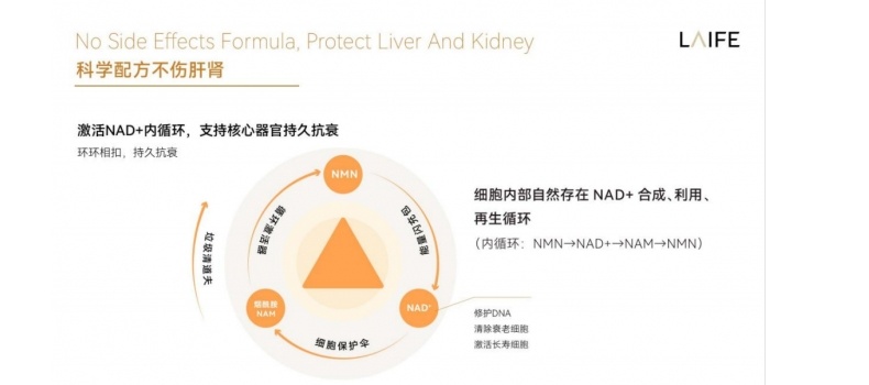 AI制药已经到达新高度？LAIFE乐悦泰助你重建年轻机体！