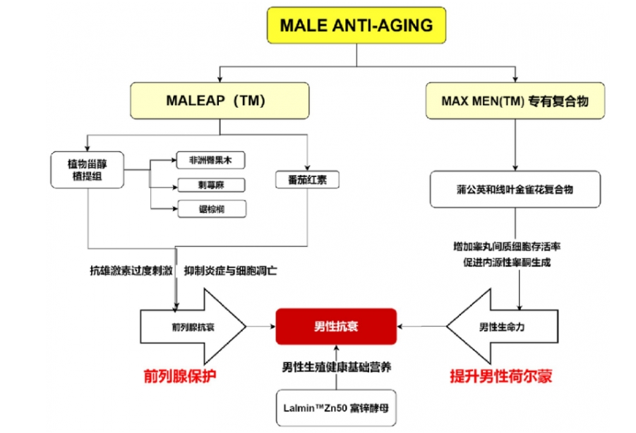 深受前列腺问题困扰？LAIFE乐维源解决男性忧虑！